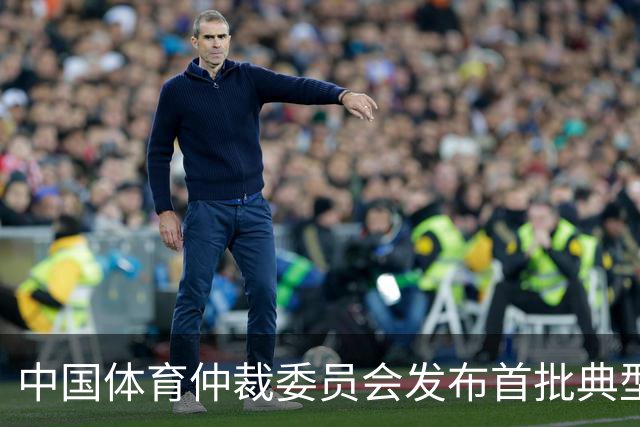 中国体育仲裁委员会发布首批典型案例